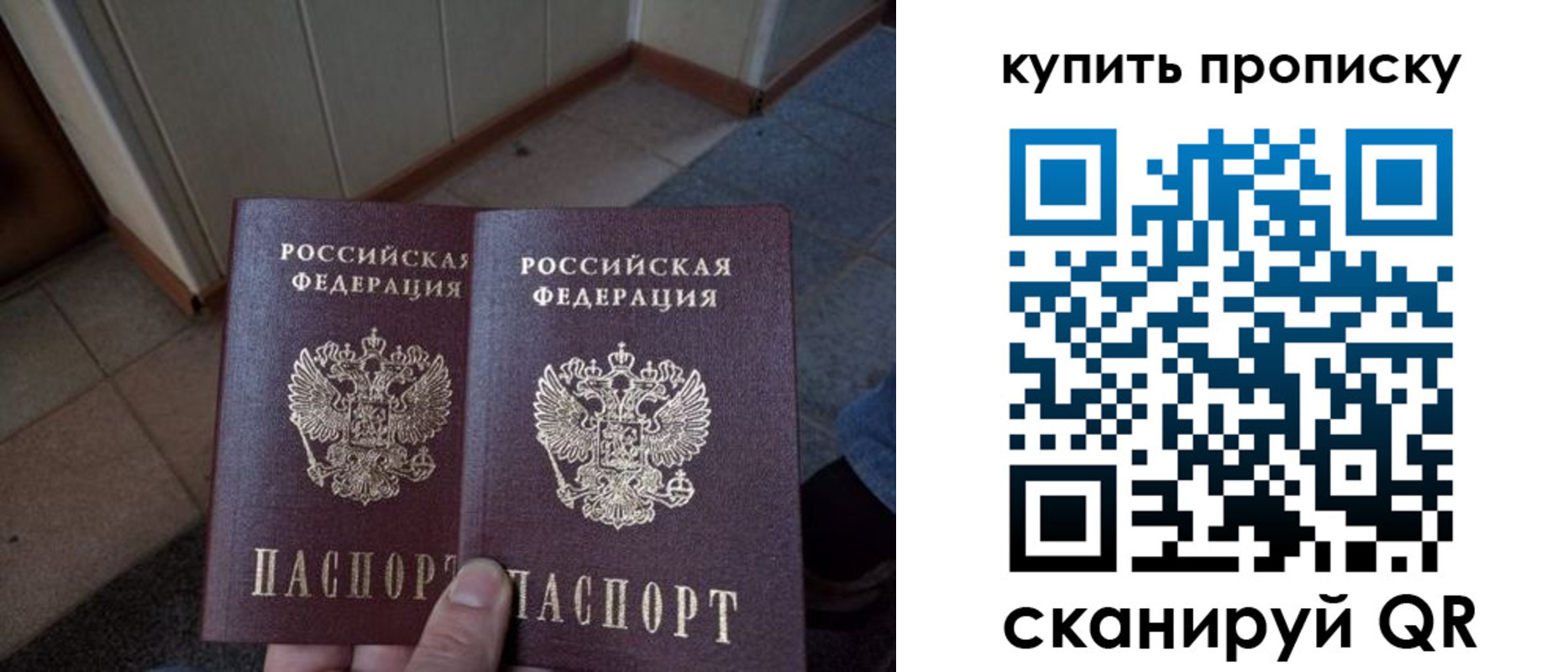 купить прописку в Соколе